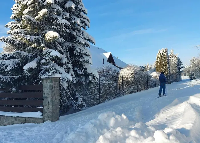 Tatil Evi U Golfu Korenec